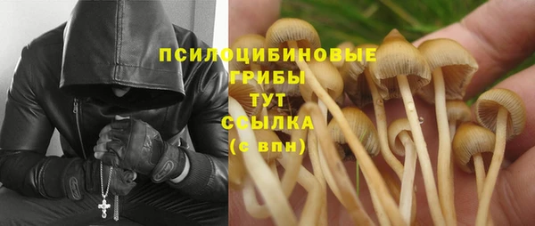 дурь Алексеевка