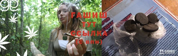 дмт Алексин