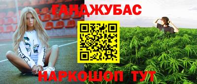 соль ск Можга