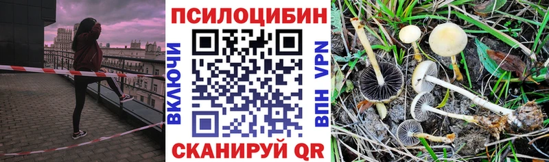 Псилоцибиновые грибы ЛСД  Бирск 