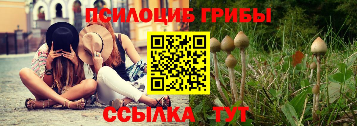 Бирск  Псилоцибиновые грибы Cubensis  наркота  Вход с VPN 